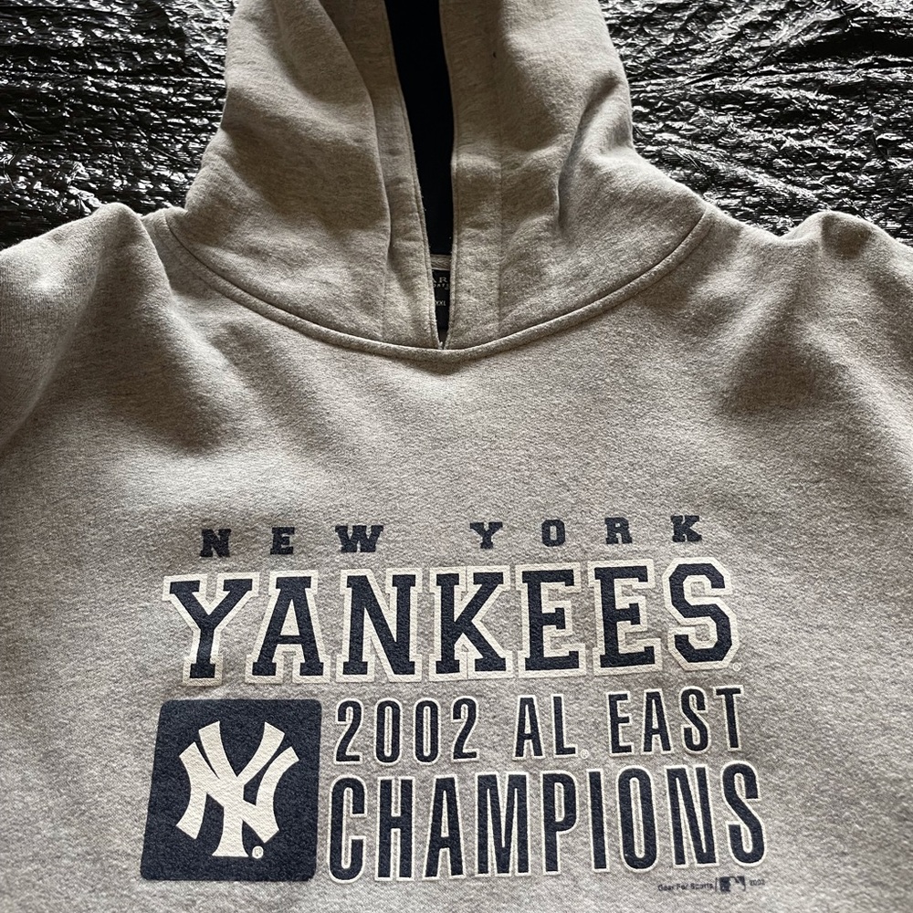 NY Yankee Hooded Sweatshirt